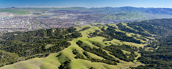 01312015 panoramic - Pleasanton Ridge Regional Park.jpg