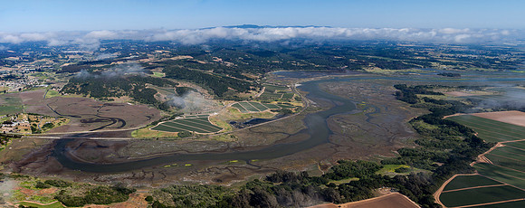 04232013 panoramic - Elk Horn Slough near Moss Landing.jpg