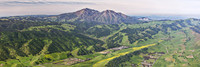 03122015 panoramic - Mount Diablo with Spring Flowers.jpg