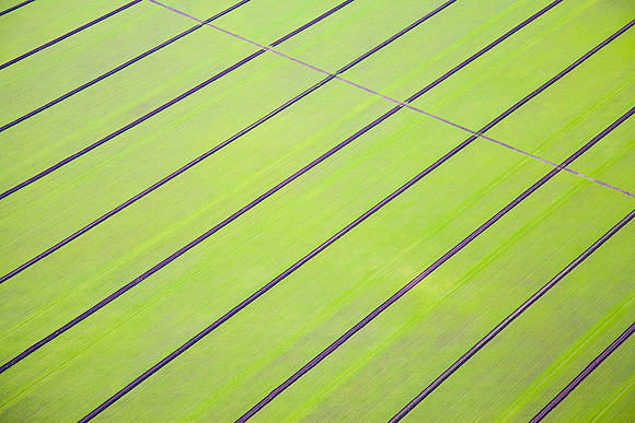 Pattern_IMG_0966.jpg