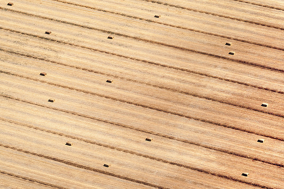 Pattern_V4C0155.jpg
