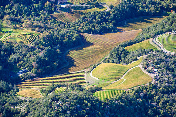 Napa_V4C7669.jpg