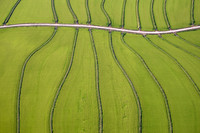 Patterns_f3625666512.jpg