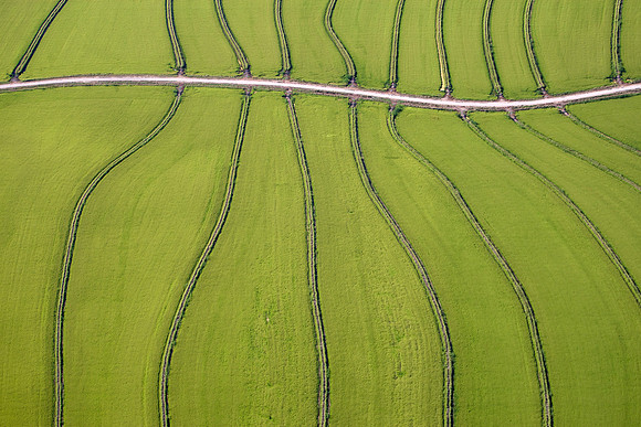 Patterns_f3625666512.jpg