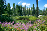 Donner Summit, Sierra Nevada Mountains