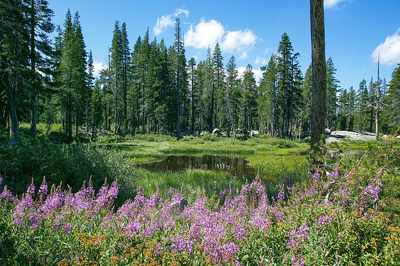 Donner Summit, Sierra Nevada Mountains