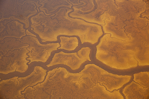 08172019_Salt Ponds_Q5A4813