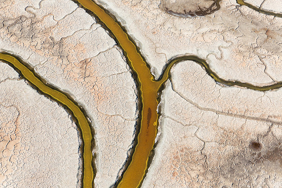 03112018_Salt Ponds_K1A8361