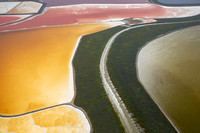 08172019_Salt Ponds_Q5A4442