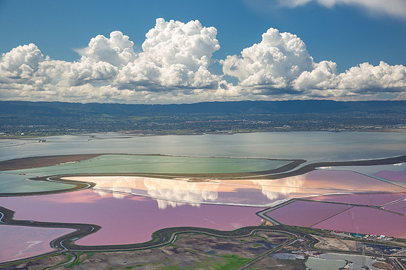 03262020_Salt Ponds_Q5A1154
