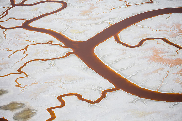 10162017_Salt Ponds_MG_Salt Ponds_0868