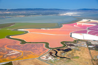 07092018_Salt Ponds_Q5A7156