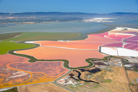 07092018_Salt Ponds_Q5A7156