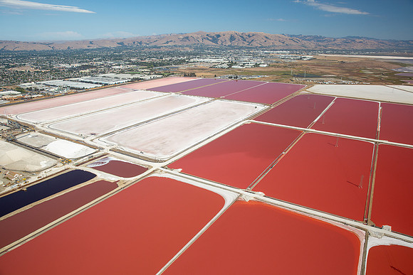 09042019_Salt Ponds_Q5A0778