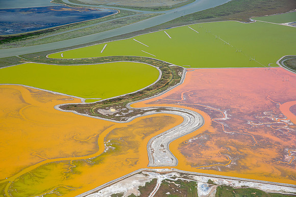 07092018_Salt Ponds_Q5A7161