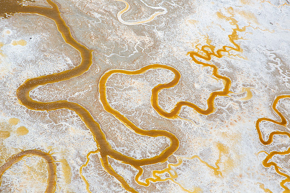 09142017_Salt Ponds_K1A4077