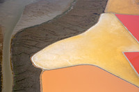 03122020_Salt Ponds_Q5A8183