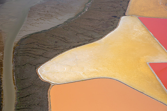 03122020_Salt Ponds_Q5A8183