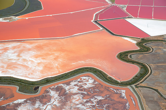 07132016_Salt Ponds_K1A0451