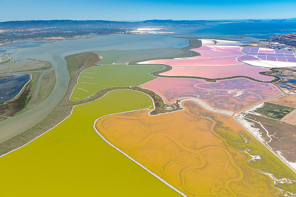 07092018_Salt Ponds_Q5A7170