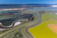 07092018_Salt Ponds_Q5A7172