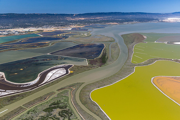 07092018_Salt Ponds_Q5A7172