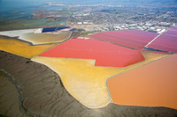 03122020_Salt Ponds_Q5A8186