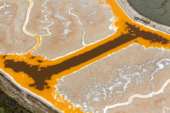 09142017_Salt Ponds_K1A4067
