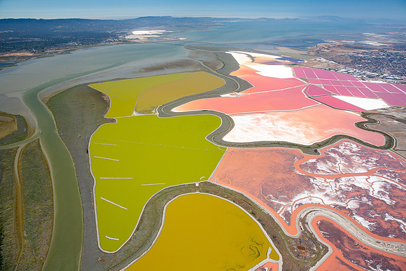 07132016_Salt Ponds_K1A0456