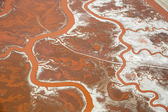 08172019_Salt Ponds_Q5A4818