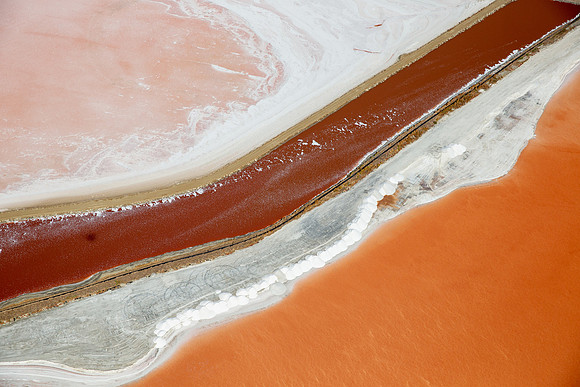 09042019_Salt Ponds_Q5A0782
