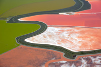 07132016_Salt Ponds_K1A0449
