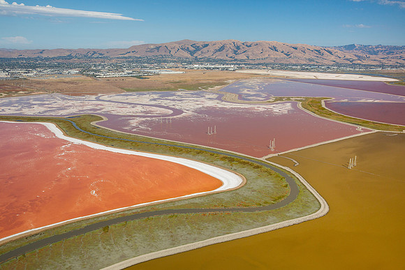 09042019_Salt Ponds_Q5A0786