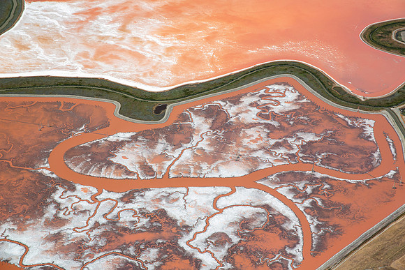07132016_Salt Ponds_K1A0450