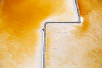 08172019_Salt Ponds_Q5A4439