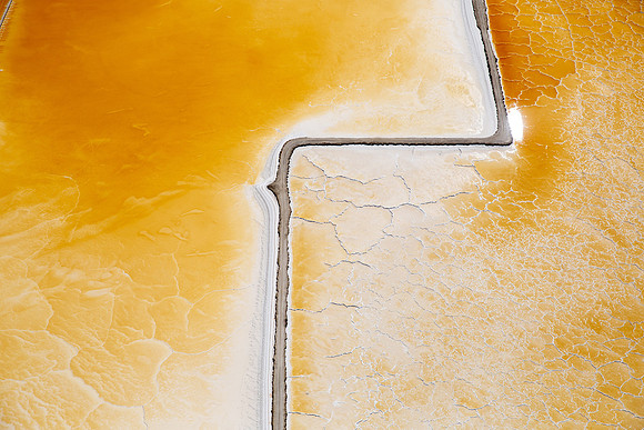08172019_Salt Ponds_Q5A4439