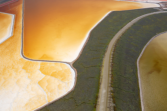08172019_Salt Ponds_Q5A4443