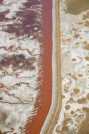 08172019_Salt Ponds_Q5A4823