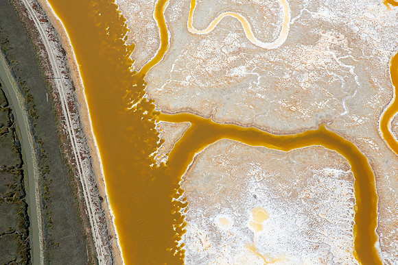 09142017_Salt Ponds_K1A4073