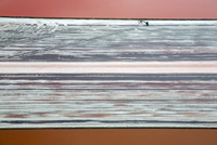 01152016_Salt Ponds_K1A8080