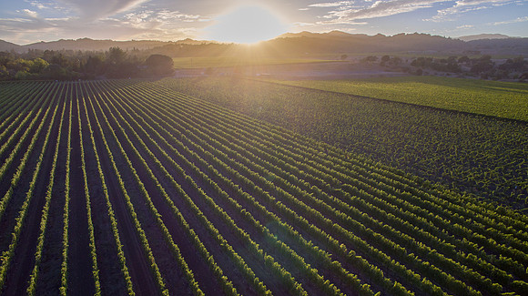 Drone Aerial Photography, Digital Sky Aerial Imaging
