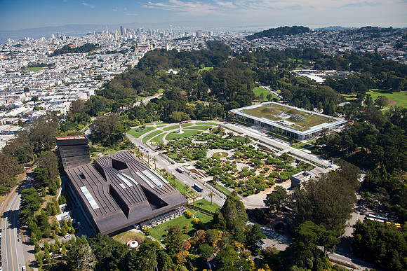 San Francisco Aerial_Golden Gate Park_MG_8229