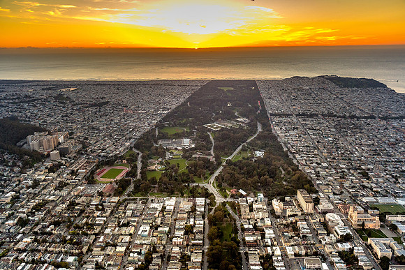 Golden Gate Park_Susnet_Q5A9451