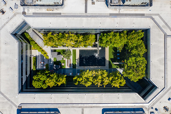 DJI_0278