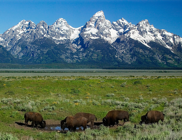 Grand Tetons AE5T2904e 17x22@240ppi.jpg