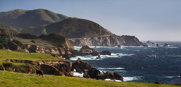 03212013 panoramic - Big Sur Coastline with Grazing Cattle